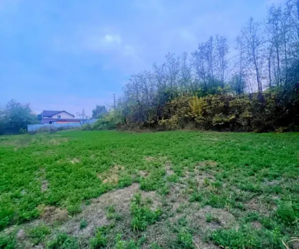 Teren – De Vânzare – Mihăești – metri patrati – TEREN DE VÂNZARE ÎN MIHĂEȘTI, JUDEȚUL VÂLCEA! Preț 66.250 Euro