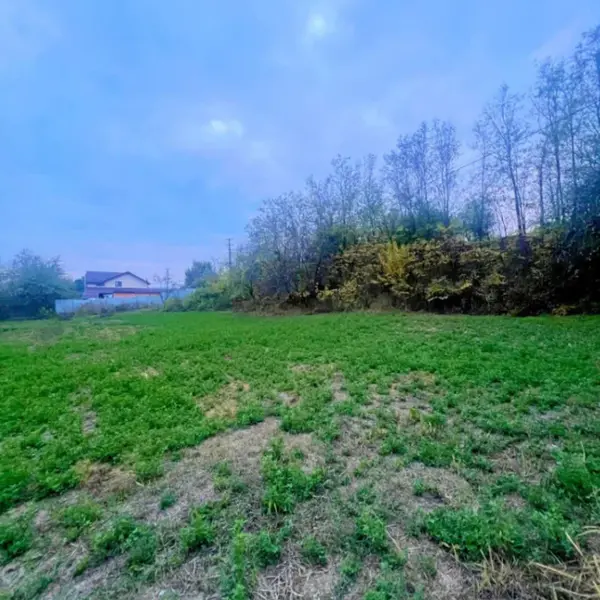 Teren – De Vânzare – Mihăești – metri patrati – TEREN DE VÂNZARE ÎN MIHĂEȘTI, JUDEȚUL VÂLCEA! Preț 66.250 Euro