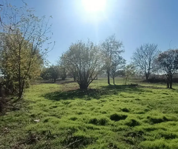 Teren – De Vânzare – Șirna – metri patrati – O proprietate de poveste cu suflet rural – Domeniul de 8.888 mp din Habud,Prahova