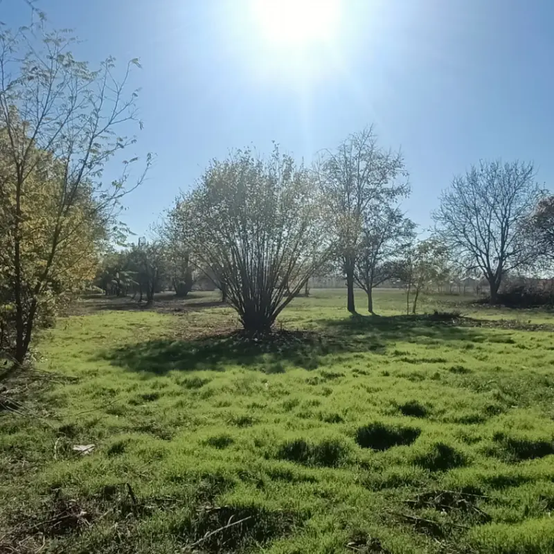 Teren – De Vânzare – Șirna – metri patrati – O proprietate de poveste cu suflet rural – Domeniul de 8.888 mp din Habud,Prahova