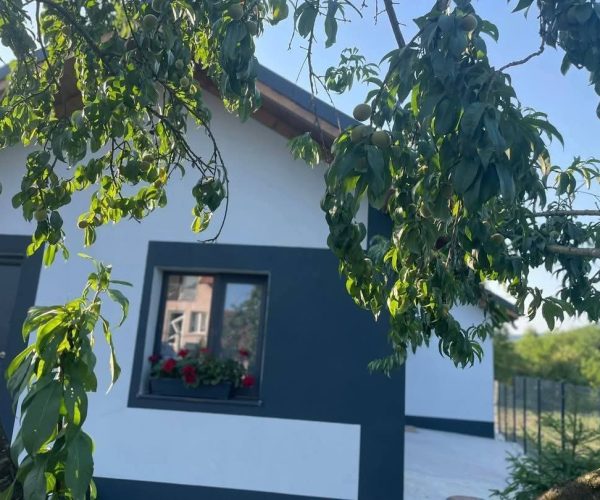Casă – De Vânzare – Bujoreni – 3 – camere – Casă De Vânzare În Râmnicu Vâlcea – O Oază De Lux♥️ Preț 129.000 ETel0772203164 – Alina