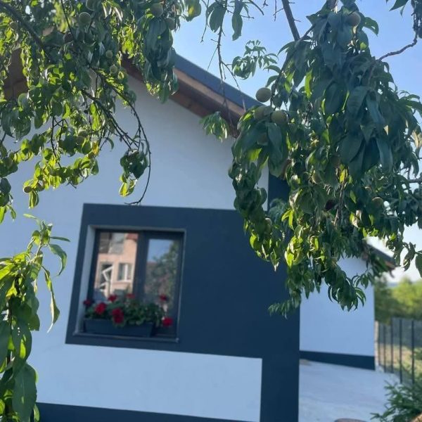 Casă – De Vânzare – Bujoreni – 3 – camere – Casă De Vânzare În Râmnicu Vâlcea – O Oază De Lux♥️ Preț 129.000 ETel0772203164 – Alina