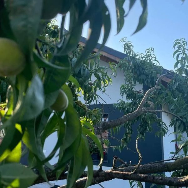 Casă – De Vânzare – Bujoreni – 3 – camere – Casă De Vânzare În Râmnicu Vâlcea – O Oază De Lux♥️ Preț 129.000 ETel0772203164 – Alina