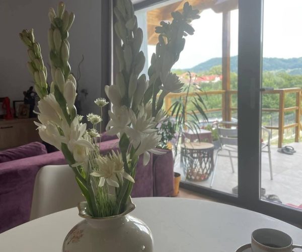 Casă – De Vânzare – Bujoreni – 3 – camere – Casă De Vânzare În Râmnicu Vâlcea – O Oază De Lux♥️ Preț 129.000 ETel0772203164 – Alina