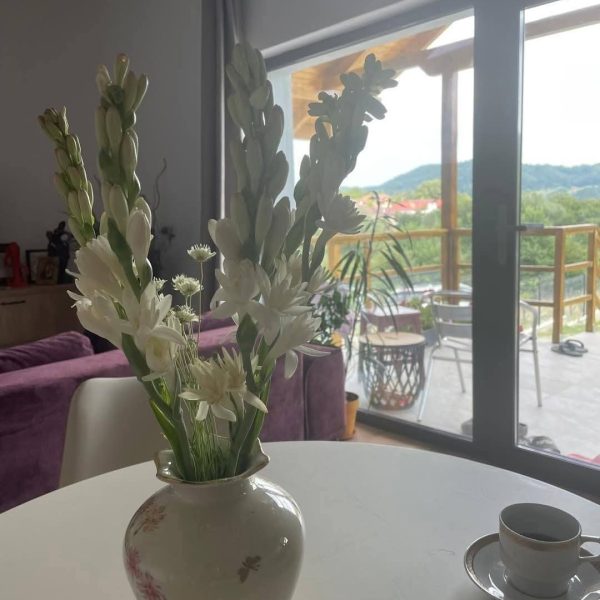 Casă – De Vânzare – Bujoreni – 3 – camere – Casă De Vânzare În Râmnicu Vâlcea – O Oază De Lux♥️ Preț 129.000 ETel0772203164 – Alina