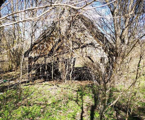 Teren – De Vânzare – Dăești – metri patrati – Parcele de Vânzare în Dăești, Râmnicu Vâlcea!