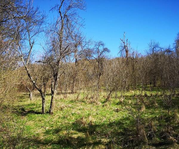 Teren – De Vânzare – Dăești – metri patrati – Parcele de Vânzare în Dăești, Râmnicu Vâlcea!