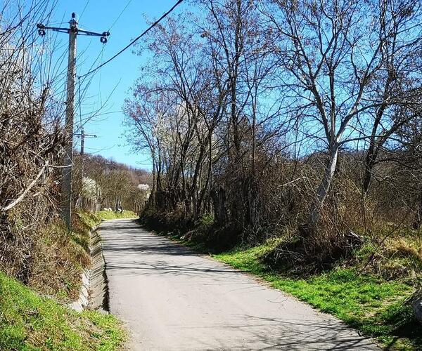 Teren – De Vânzare – Dăești – metri patrati – Parcele de Vânzare în Dăești, Râmnicu Vâlcea!