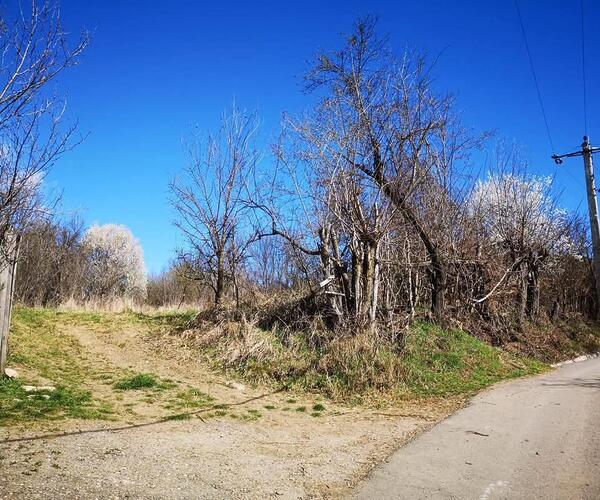 Teren – De Vânzare – Dăești – metri patrati – Parcele de Vânzare în Dăești, Râmnicu Vâlcea!