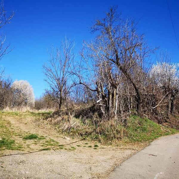 Teren – De Vânzare – Dăești – metri patrati – Parcele de Vânzare în Dăești, Râmnicu Vâlcea!