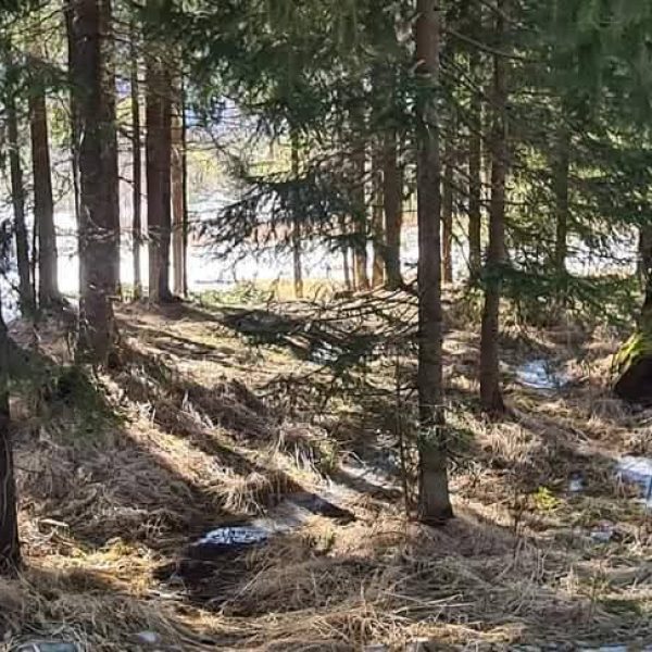Teren – De Vânzare – Voineasa – metri patrati – Teren de Vânzare la Voineasa – Obârșia Lotrului, Județul Vâlcea!❤️ Tel: 0772203164 – Alina