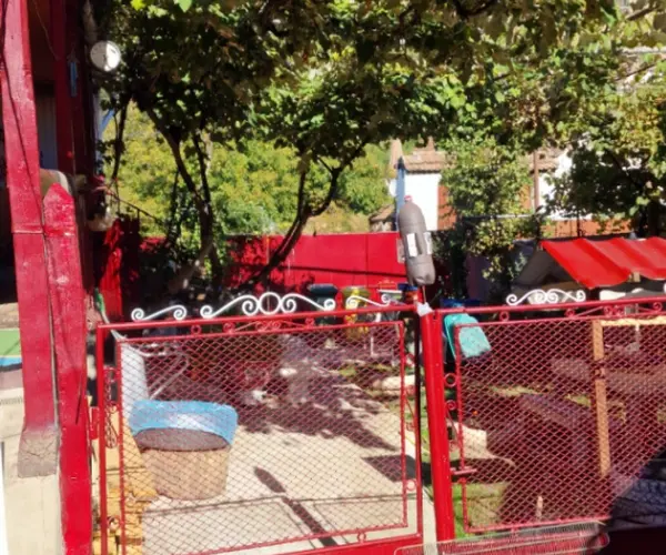 Casă – De Vânzare – Saschiz – 3 – camere – Gospodărie autentică de vânzare în sat Mihai Viteazu, jud. Mureș – teren generos și dependințe