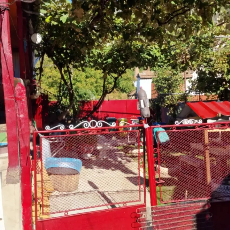 Casă – De Vânzare – Saschiz – 3 – camere – Gospodărie autentică de vânzare în sat Mihai Viteazu, jud. Mureș – teren generos și dependințe