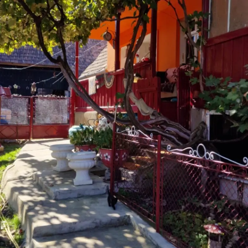 Casă – De Vânzare – Saschiz – 3 – camere – Gospodărie autentică de vânzare în sat Mihai Viteazu, jud. Mureș – teren generos și dependințe