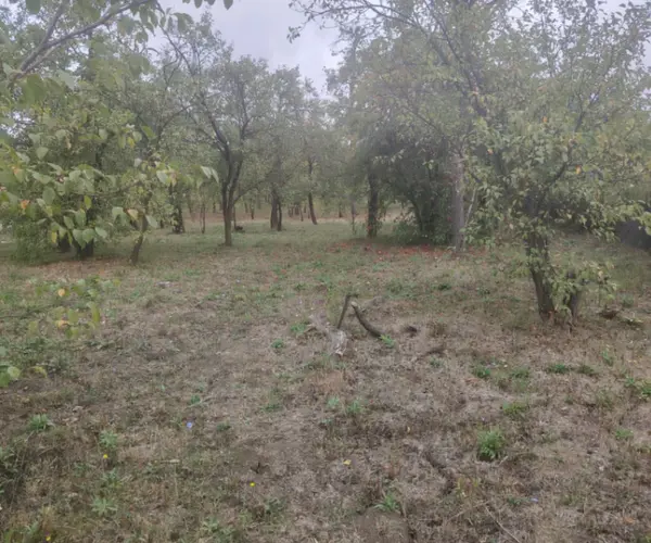 Casă – De Vânzare – Cluj-Napoca – 7 – camere – Vând 2 case locuibile în cartierul Iris
