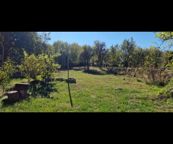 Casă – De Vânzare – Saschiz – 3 – camere – Gospodărie autentică de vânzare în sat Mihai Viteazu, jud. Mureș – teren generos și dependințe