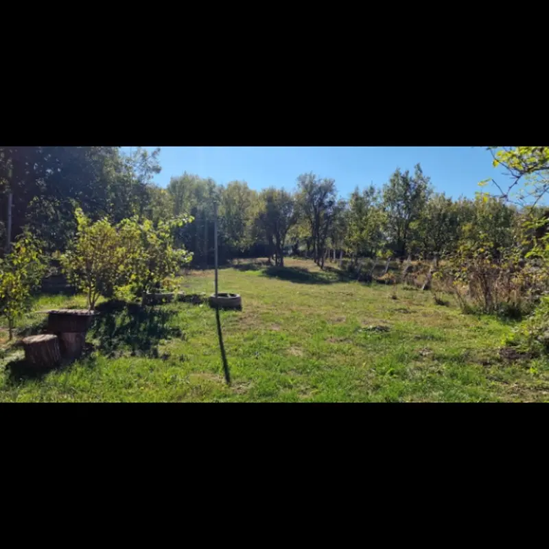 Casă – De Vânzare – Saschiz – 3 – camere – Gospodărie autentică de vânzare în sat Mihai Viteazu, jud. Mureș – teren generos și dependințe