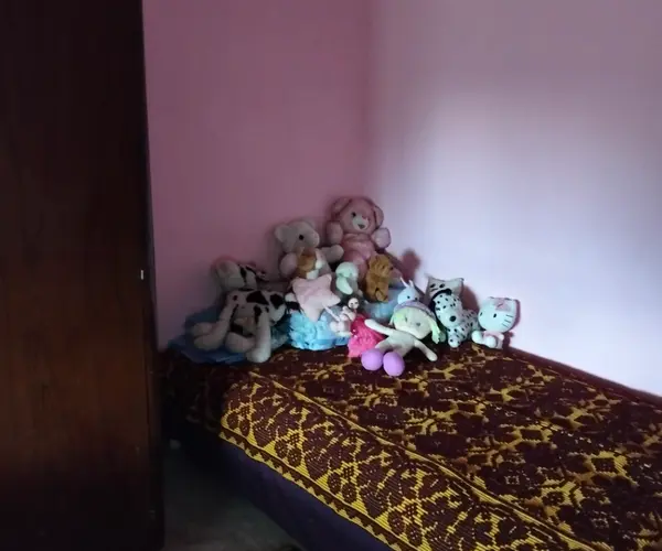 Casă – De Vânzare – Spineni – 3 – camere – Proprietate de vânzare!