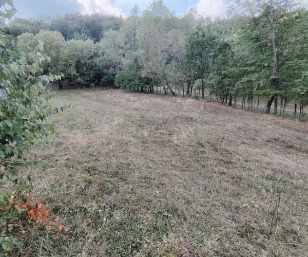 Teren – De Vânzare – Cicănești – metri patrati – Teren intravilan de vânzare !