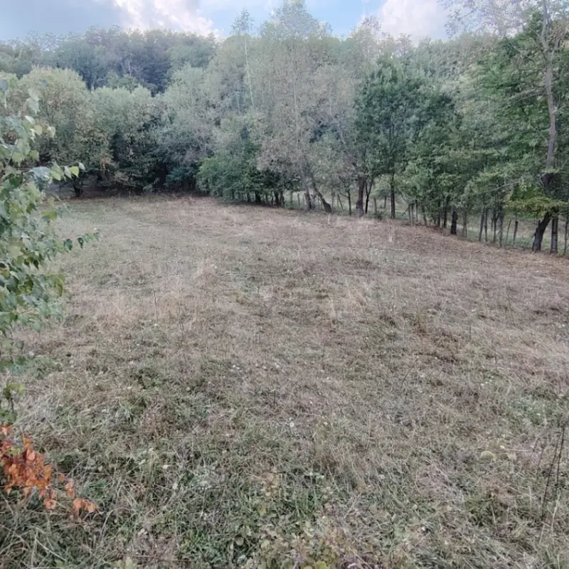 Teren – De Vânzare – Cicănești – metri patrati – Teren intravilan de vânzare !