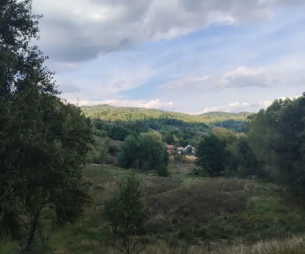 Teren – De Vânzare – Cicănești – metri patrati – Teren intravilan de vânzare !