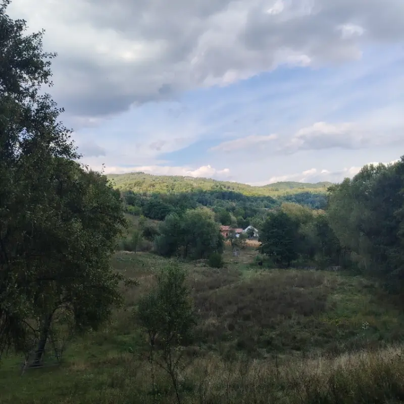 Teren – De Vânzare – Cicănești – metri patrati – Teren intravilan de vânzare !