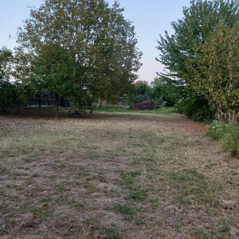 Casă – De Vânzare – Snagov – 2 – camere – Snagov sat-Particular vand casa si teren