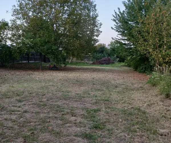 Casă – De Vânzare – Snagov – 2 – camere – Snagov sat-Particular vand casa si teren